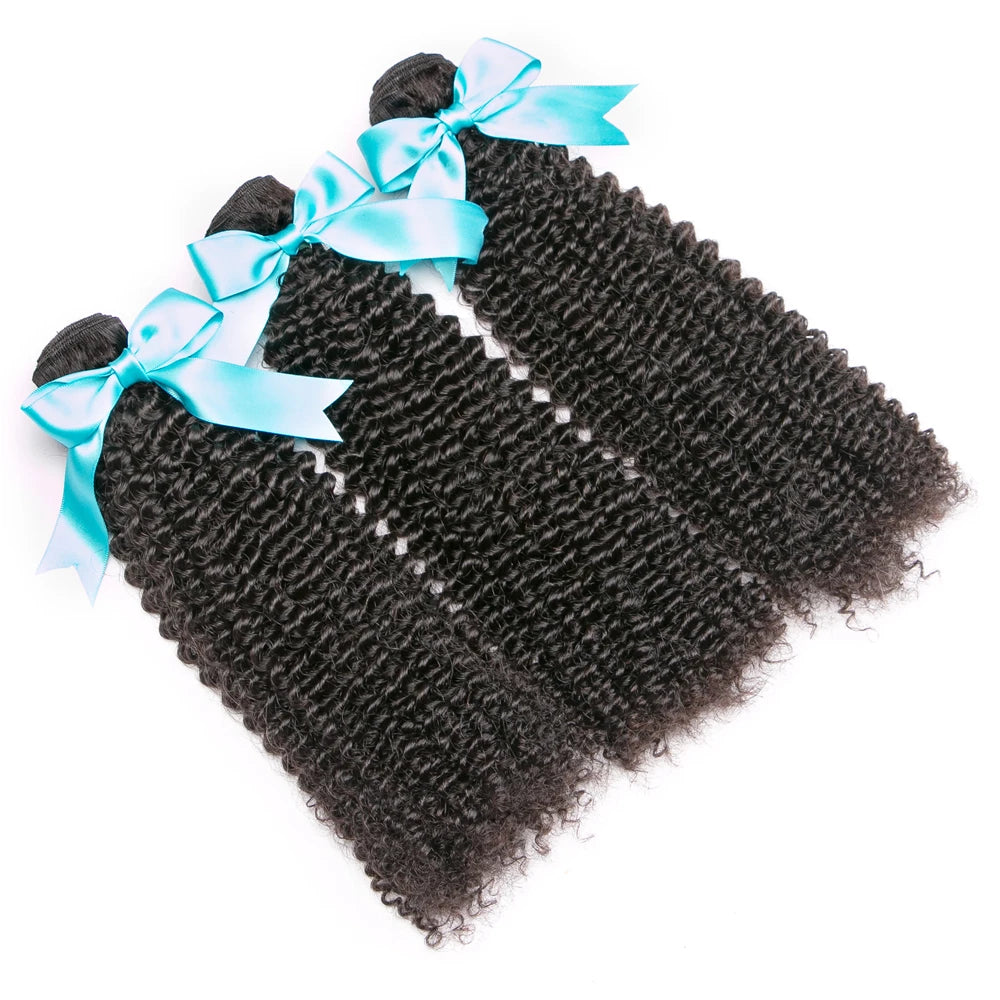 Curly Human Hair Bundle